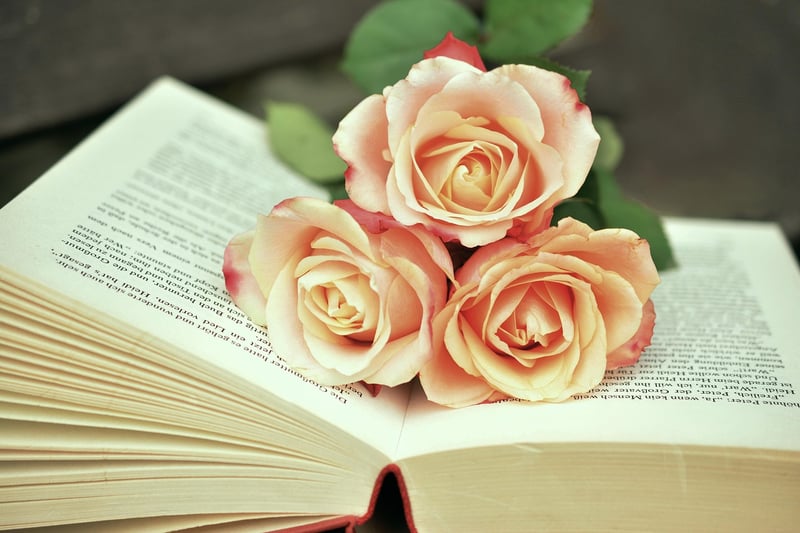 Adventure Books